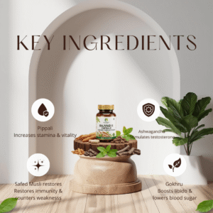 Rajvaid r Capsule - Ayurvedic formula For Stamina & Strength - Image 3